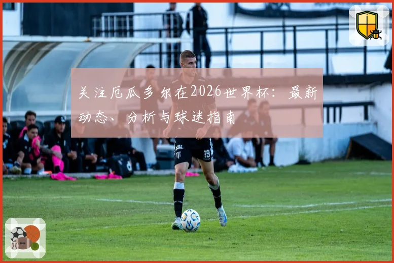 关注厄瓜多尔在2026世界杯：最新动态、分析与球迷指南