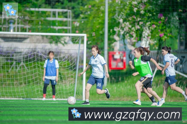 App Interface Preview